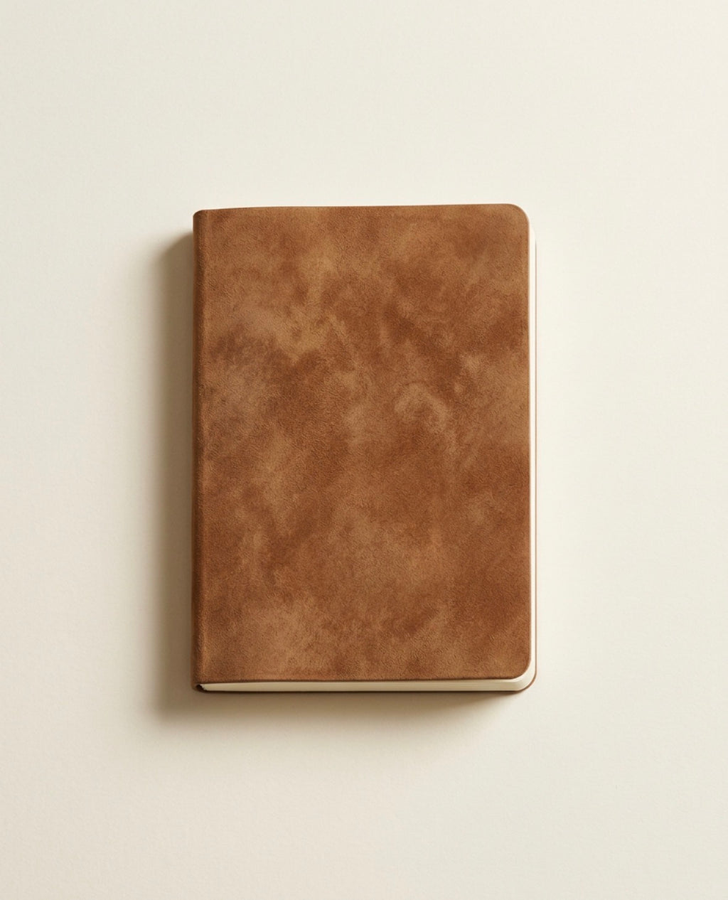 Le Témoin — Carnet quotidien
