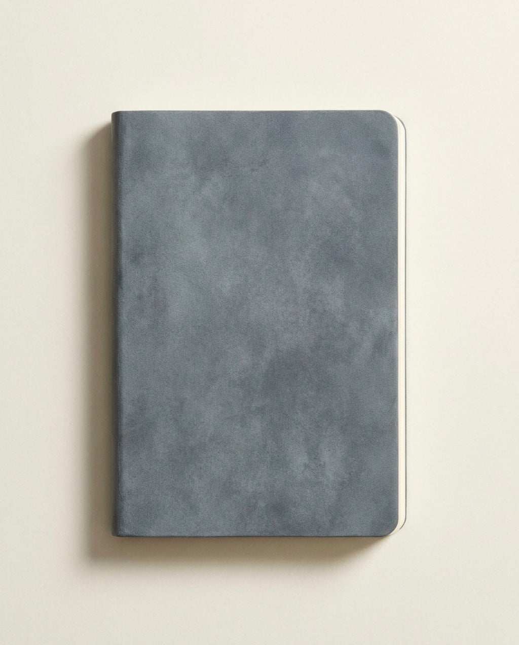 Le Témoin — Carnet quotidien